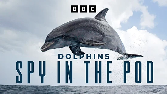 Dolphins: Spy in the Pod (2 x 50′)
