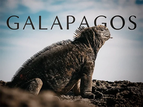 Galápagos (3 x 50′)