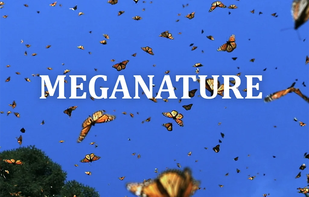 Meganature (1 x 50')