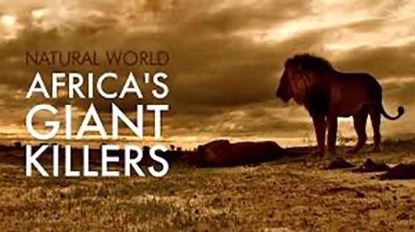 Natural World: Africa's Giant Killers (1 x 50')