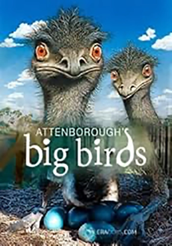 Natural World: Attenborough's Big Birds (1 x 50')