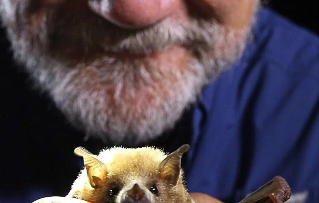 Natural World: Bat Man of Mexico (1 x 50')