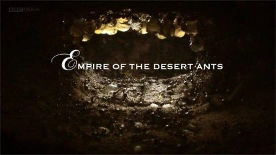 Sinopsis: Natural World visita el desierto de Arizona, donde una nueva reina de hormigas mieleras libra una intensa batalla por sobrevivir mientras intenta construir y defender su imperio. Elimina rivales con despiadada eficiencia, sacrifica a miles en su búsqueda de dominación, recurre al asesinato, al canibalismo y al genocidio: hará lo que sea para conservar su corona. Empire of the Ants es la épica historia del dramático ascenso al poder de una reina de hormigas mieleras… y de su brutal caída en desgracia. Año: 2011 Género: Documental Dirección: John Brown Elenco: Andy Serkis Ver más