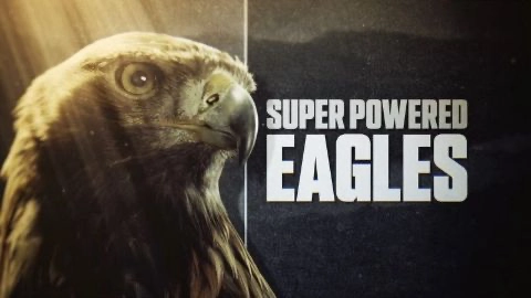 Natural World: Super Powered Eagles (1 x 50')