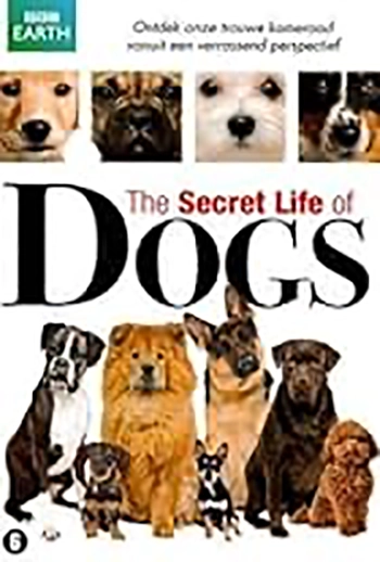 Secret Life of Dogs, The: Series 1 (1 x 50')