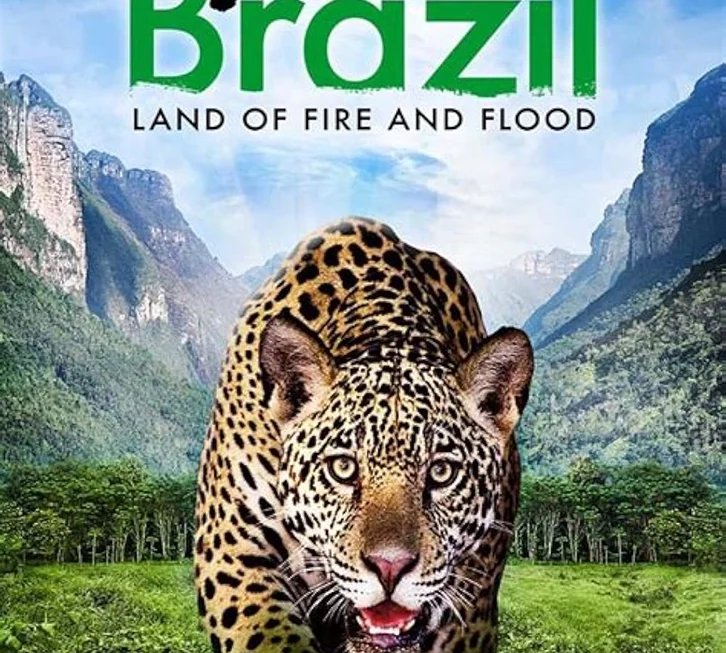 Wild Brazil (3 x 50')